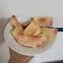 (유)두산자동차공업사 | 그링이의 뽀짝한 일상 모음.zip