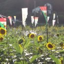 봉대마을 이미지