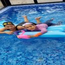 포시즌 키즈 풀빌라 이미지