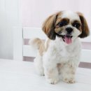 소답동237 이미지