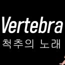 [해부학] 머리뼈, 척추, 손뼈, 어깨팔뼈, 골반뼈, 다리뼈, 손뼈+발뼈 쉽게 외우는 방법 이미지