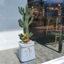 안경캐슬 마산합성점 이미지