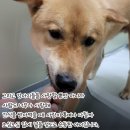 두리 스토리 네이버블로그