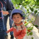 아람목장 이미지