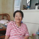 애향초등학교 이미지