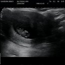 신산본빌딩 이미지