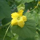 조성호농장 이미지