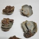 장안동 백자가마터 이미지