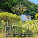 강릉성산 공인중개사사무소 이미지