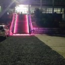 생각나무자연학교 이미지