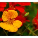 삽재농장 이미지