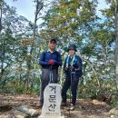 평창문익점펜션 이미지