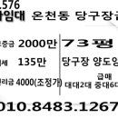 보라 당구장 이미지