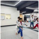 한국 파워점핑 줄넘기태권도 | 미국 국가대표 배출 도장, 태권도품새 국가대표태권스쿨 &amp; 파워점핑줄넘기
