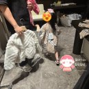 쇼핑~(˶စ ูစ˶)~ 🤍 버버리키즈 🤎 나이키키즈 🤍