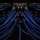 네트워크 이미지