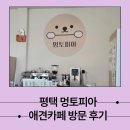 용성길 | 평택 애견 카페 멍토피아 방문 후기