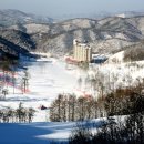 오크밸리 스노우파크 이미지