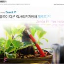 페로젠 이미지
