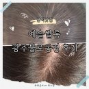 천변우로 | 광주 예슬쌀롱 광주불로동점 충장로미용실 염색맛집 방문 후기