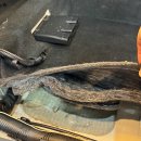 행복크리닝 이미지