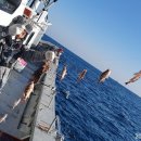 포항시남구장기면양포보건진료소 이미지