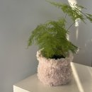 꽃바람화원 이미지