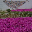 고래사냥펜션 이미지