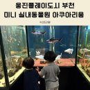 부천 아이와 가볼만한 곳 웅진플레이도시 아쿠아리움 후기