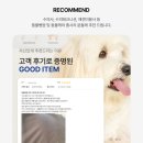 모여라동물병원 이미지
