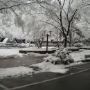 해태동물병원 이미지