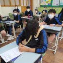 애견훈련소 보담 이미지