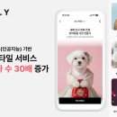 우리강아지 이미지