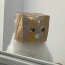 달하나빛 네이버블로그