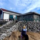 링크 늘푸른 애묘호텔 | 제주도서쪽여행코스 제주서쪽아이와가볼만한곳 서부 날씨 지도