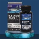 에버그린 이미지