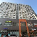 위코스테이 남산 | 명동 숙소 추천 | 친구와 떠난 1박 2일, 위코스테이 명동 디럭스 트리플 내돈내산