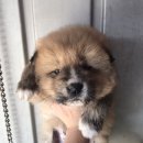 아방리낚시터 이미지