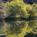 보성강3 이미지