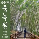 사군자민박 | 담양 가볼만한 곳 죽녹원 입장료 주차장 후문에서 정문 대나무숲 가는법