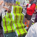 영암 왕인의 봄 벚꽃 마라톤 출전 후기