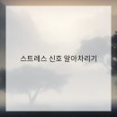 고양이집사 이미지