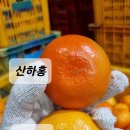 산하농장 이미지