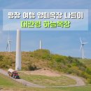 하늘언덕 | 평창 대관령 하늘목장 양떼목장 트랙터 전망대 강원도 여행지 가볼만한 곳
