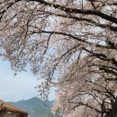 학청 경로당 이미지