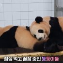 알콩달콩 이미지