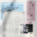 컨언스튜디오