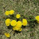 노을공원4 이미지