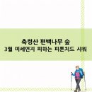 축령산아침 | 축령산 편백나무 숲 3월 미세먼지 피하는 피톤치드 샤워