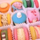 강남-279 이미지